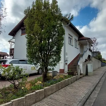 Tolle Untergeschoss-wohnung Fuer Bis Zu 5 Personen Mit Grossem Garten Und Terrasse