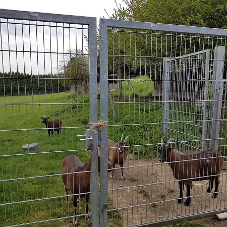 Neu Renovierte Ug Für Bis Zu 6 Personen