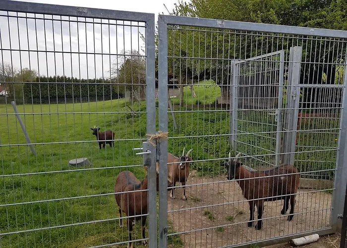 Tolle Untergeschoss-wohnung Fuer Bis Zu 5 Personen Mit Grossem Garten Und Terrasse